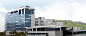 “산림보호가 우선”, 산지 태양광개발 법원이 제동