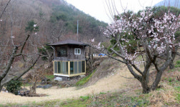 김용수 경북대 명예교수 "담장 허물기 반대 허물었죠"