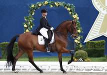 GERMANY EQUESTRIAN