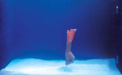 김아타와 이기봉… 해외미술계가 그들에 주목하는 이유