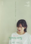 [팝