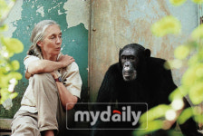 이효리가 인터뷰하는 제인 구달은 누구?