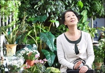 배우 윤석화도? 뉴스타파 조세피난처 3차 명단