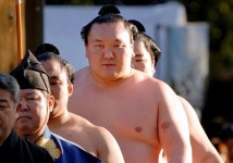 "120kg 스모 선수 27명 이동"…중량 계산못한 日항공사 결국