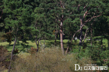 故 이건희 선대회장 5주기…삼성家·전현직 사장단 150여명 ‘엄숙한 추모’