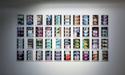 국립현대미술관에서 열리는 <요나스 메카스: 찰나, 힐긋, 돌아보다>전