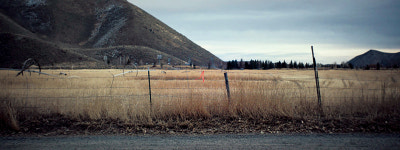 한정된 공간 속 네 인물의 대화를 중심으로 전개하는