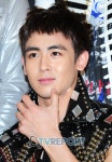 닉쿤, 日 영화