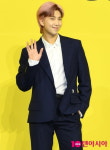 방탄소년단 RM "다음 생에는 가수 아닌 천문학 공부하고파" (