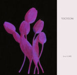 유겸, 11일 신곡 발매…솔로곡 어떨까