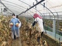 경기도 공공기관·봉사단체, 수해지역 복구에 구슬땀