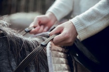 "인사 안 해서" 대회 전날 女후배 폭행한 男승마선수… 경찰, 수사착수