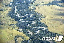 메릴린치 "니켈, 당분간 신중한 접근 필요"
