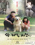 영화