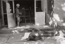 사진기자의 사진은 보여주는 게 아니라