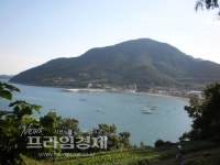 영화감독 PD 작가