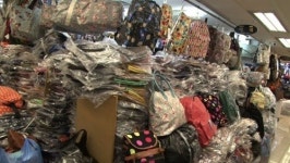 봄철 성수기, 특수 누리는 사람들(VJ특공대)