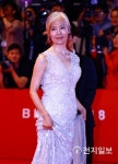 예수정 누구? 故 정애란 딸-형부 한진희-딸은 연극연출가 김예나… 알고보니 배우 집안