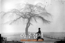 한미사진미술관 개관 10주년