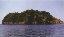 (9)문섬·제2문섬-투명한 바닷속 비경 간직한 섬