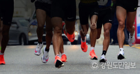 전 도청소속 육상선수 "감독·코치가 인격모독" 국민청원 논란