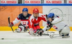 아이스슬레지하키 세계선수권, 한국의