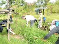 공원서 잡초 뽑는 시장님