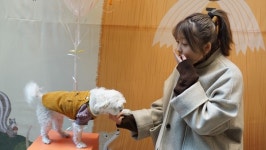 제9회 펫케어페스티벌, 일산 벨라시타에서 성황리 개최