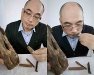 진짜와 가짜 침향 어느 것이 효과가 좋을까?