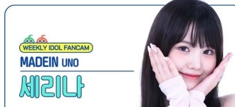 메이딘 세리나, 토요카와 에츠시의 조카로 밝혀져