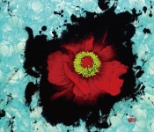 전북대, 개교 65주년 기념 특별전