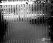 "피사체 내면의 움직임 포착" 사진가 권영호