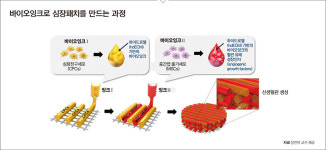 장진아 포항공과대학교 창의IT융합공학과 조교수
