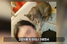 故이선균 협박녀의 소름돋는 모정…키우던 고양이 2마리는?