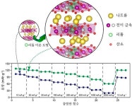 고려대 유승호 교수팀, 차세대 나트륨 이차전지 양극 소재 개발
