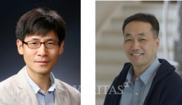 성균관대 김경규 교수팀, 신선초에서 항생제 내성 극복 가능성 발견