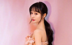 돈을 들고 튀어라, 中 퇴출 스타 정솽 美 이민설