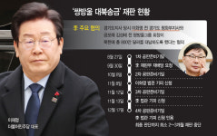 이화영 내일 항소심 선고… 법조계 "공범 이재명 중형 불가피"