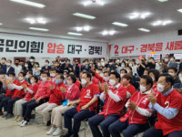 대구 광역기초의회, 여성의원 비중 늘고 청년 정치인 약진