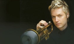 할리우드 보울에 재즈계 스타 총출연