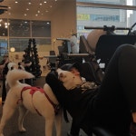 배우 설인아, 반려견 줄리와의 즉석 케미…