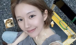 中 배우 조로사,