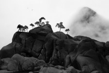 임택 덕성여대 교수, 첫 고향나들이