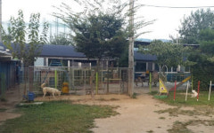 포천시, 대학교수 신분으로