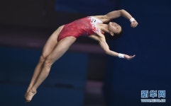 광주 세계수영선수권 다이빙 혼성 팀 경기, 중국 린산-양젠 금메달