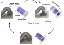 캐나다 사이몬 프레이저대 김우수 교수팀, 혈압 측정 로봇 개발