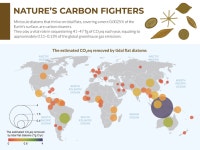 겐트대 글로벌캠퍼스 박지혜 교수팀, 2024년 우수신진연구사업 선정