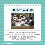 MLB에서 활약하는 일본 선발투수... 이마나가 쇼타, 야마모토 요시노부 주목