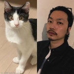 냥줍한 고양이에 빠져 인스타 지분 뚝 떼줬다는 남자 배우
