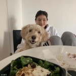 김용지, 반려견